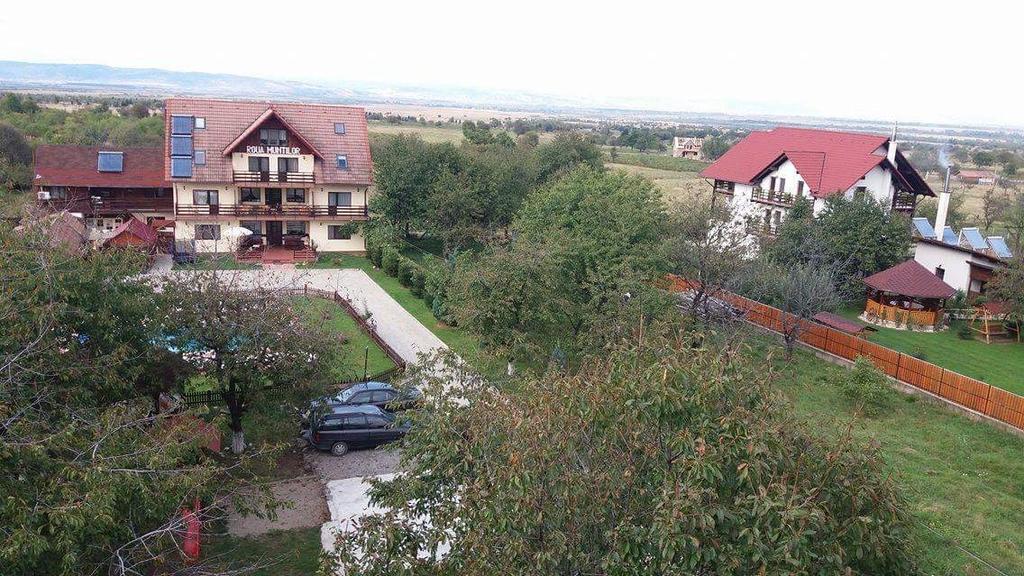 Pensiunea Roua Muntilor Sîmbăta de Sus Exteriér fotografie